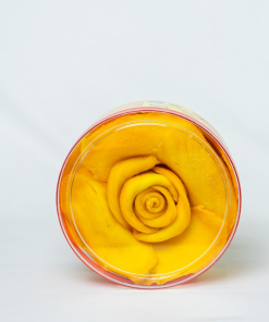 Xoài sấy dẻo hộp tròn 300g, 500g